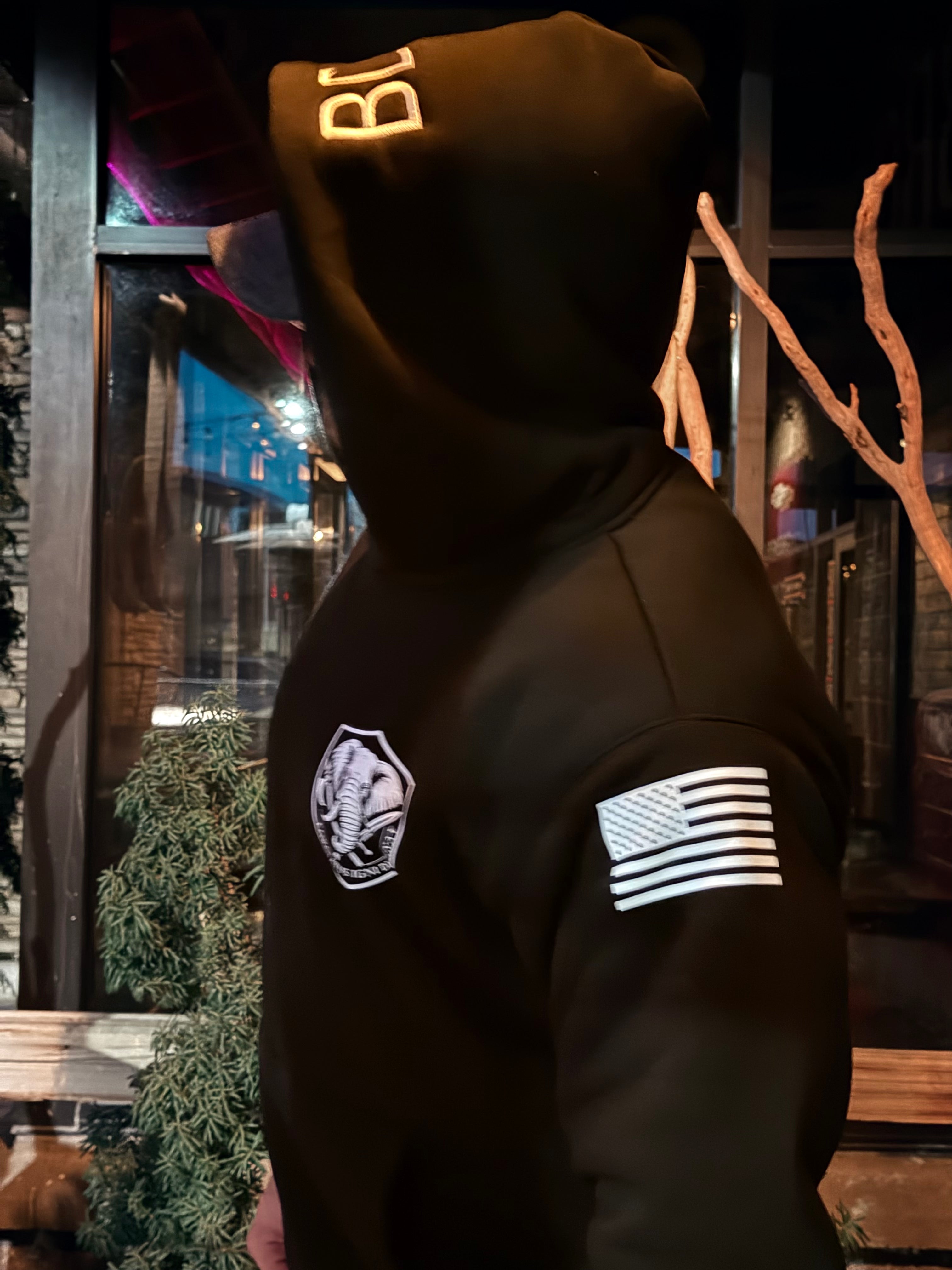 Iron Sharpens Iron. Hoodie